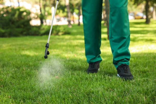 Best Ant Control Services  in Lisbon, ME