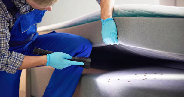 Best Residential Pest Control  in Lisbon, ME