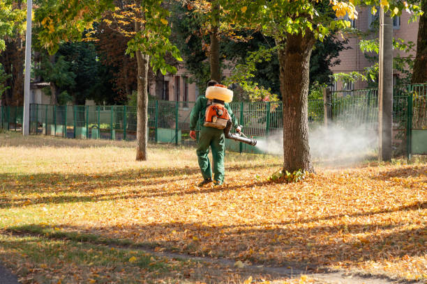 Best Termite Control Services  in Lisbon, ME