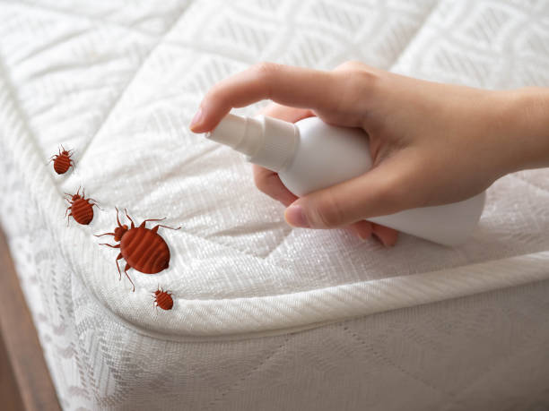 Best Best Pest Control Near Me  in Lisbon, ME