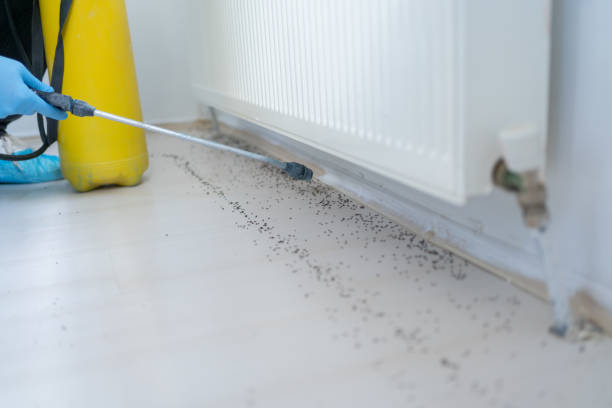 Best Mosquito Control Services  in Lisbon, ME