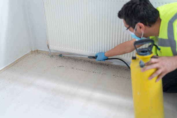 Best Pest Removal Services  in Lisbon, ME